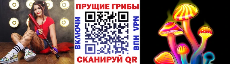OMG как войти Крым Псилоцибиновые грибы мухоморы купить наркотик